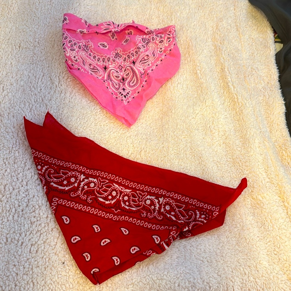 Bandanna